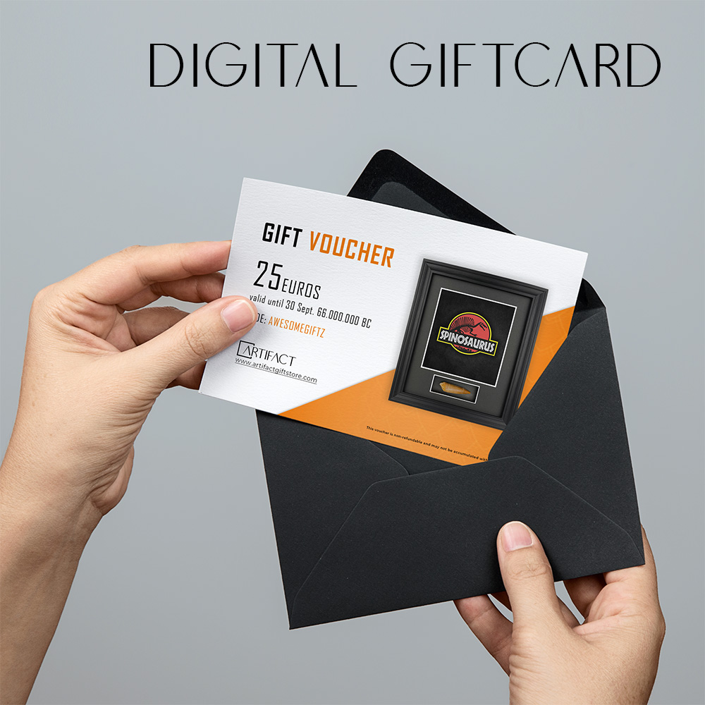 Digital Gift Card – Aille Design